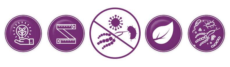 Eigenschaften des PlasmaEggs: Nachhaltigkeit, Kompakt, Natürliches Wirkprinzip, Effektive Desinfektion ohne Resistenz-Entwicklung