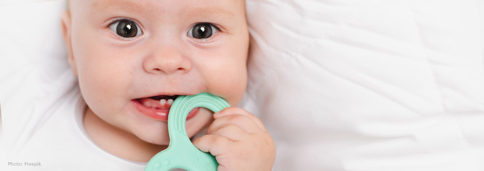 Baby, mit 2 Zähnen im Mund, kaut auf einen Beißring den er in der Hand hält